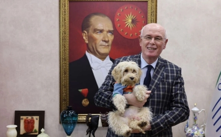 Terk Edilmişlikten Sevgiye: Aria’nın Hikayesi