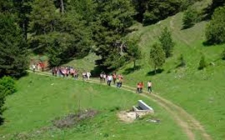 TEMA Vakfı Heyeti Yozgat'ta Çevre Projelerini Tanıttı