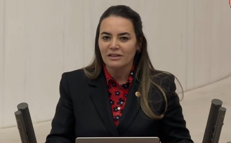 İYİ Parti Milletvekili Dr. Ayyüce Türkeş Aş: 'Cumhurbaşkanlığı Bütçesi Denetimsiz ve Kara Delik Gibi'