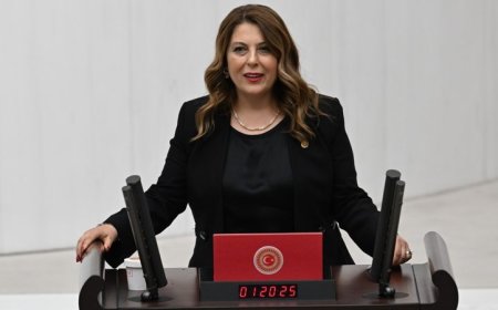 TBMM Divanı Katip Üyesi ve CHP Giresun Milletvekili Elvan Işık Gezmiş: '2025 Bütçesi Vatandaşın Değil, Sarayın Bütçesi'