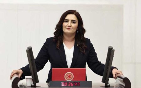 CHP İzmir Milletvekili Av. Sevda Erdan Kılıç’tan Cumhurbaşkanlığı Hükûmet Sistemine Eleştiri'