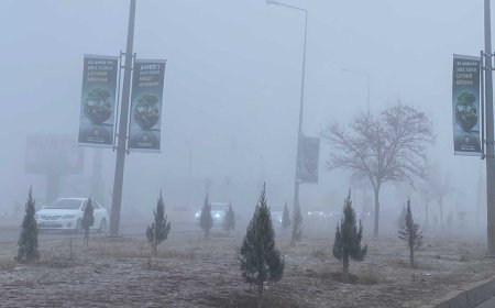Diyarbakır'da Sis Ulaşımı ve Yaşamı Olumsuz Etkiledi