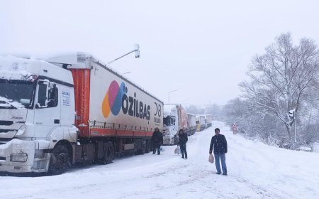 Kar Yağışı Nedeniyle Artvin ve Ardahan'da Eğitime Ara Verildi
