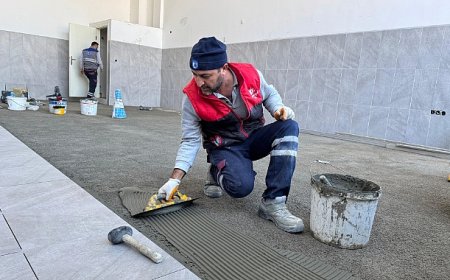 Çanakkale Belediyesi, Sokak Hayvanları İçin Mama Üretim Tesisi Kuruyor