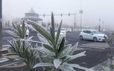 Diyarbakır'da Sis ve Dondurucu Soğuk Etkili Oldu