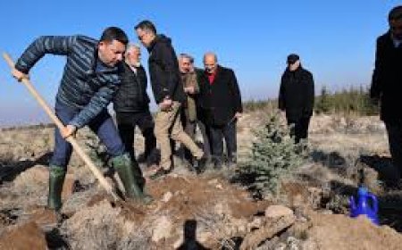 Yeni Doğan ve Vefat Edenler İçin Hatıra Ormanı