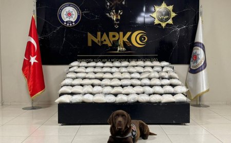 Van’da Araçta 143 Kilogram Metamfetamin Ele Geçirildi