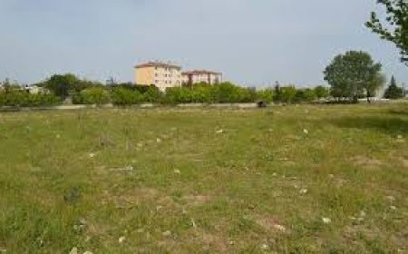 Çorlu'da Tam Olimpik Yüzme Havuzu Projesi Beklemede