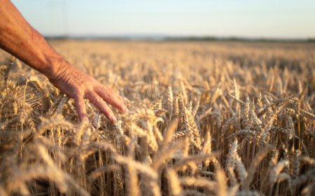 Keşap'ta Çiftçiler Tarım Sigortası Hakkında Bilgilendirildi