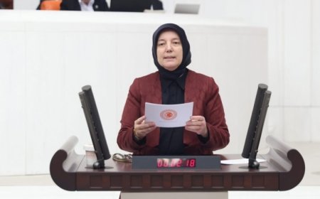 Emine Yavuz Gözgeç, Bütçe Kanunu Teklifi Üzerine Değerlendirmelerde Bulundu