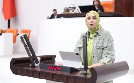 DEVA Partisi Genel Başkan Yardımcısı Elif Esen, Ekonomik Politikalara Sert Eleştirilerde Bulundu