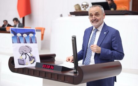 İYİ Parti Milletvekili Prof. Dr. Mehmet Akalın’dan Beyin Göçü Uyarısı