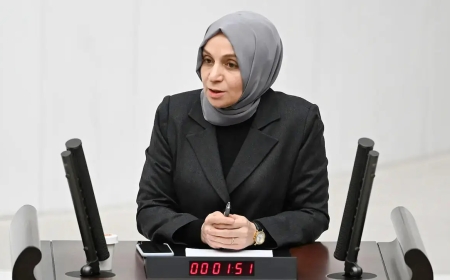AK Parti Grup Başkanvekili Dr. Leyla Şahin Usta: '2025 Bütçesi, Türkiye’nin Güçlü Geleceğini İnşa Edecek'