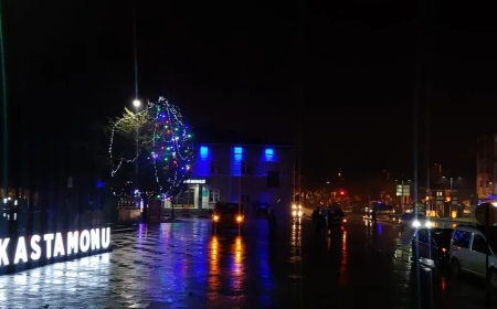 Kastamonu Cumhuriyet Meydanı'nda Süslü Ağaç Kampanyaya Dikkat Çekiyor