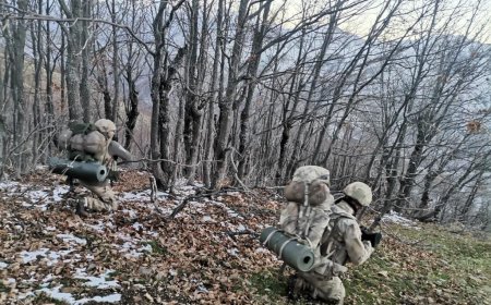‘Dağ Kuşu’ Operasyonu: PKK’ya Fon Sağlayan Tefecilere Darbe