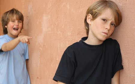 Okul Zorbalığına Karşı Etkili Mücadele Yöntemleri