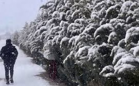 Meteoroloji’den 8 İle Sarı Kod Uyarısı! İstanbul’da Kuvvetli Yağış Bekleniyor