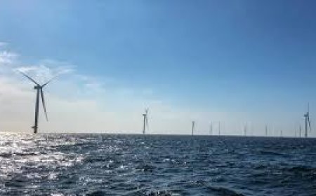 Rize’de Petrol Sondajı Başlıyor: Bakan Bayraktar'dan Yeni Enerji Açıklamaları