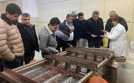 Siirt’ten Gaziantep’e Organik Fıstıkçılığı Geliştirme Gezisi