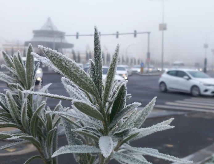 Diyarbakır'da Sis ve Dondurucu Soğuk Etkili Oldu