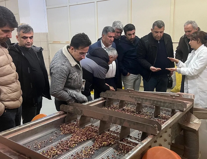 Siirt’ten Gaziantep’e Organik Fıstıkçılığı Geliştirme Gezisi
