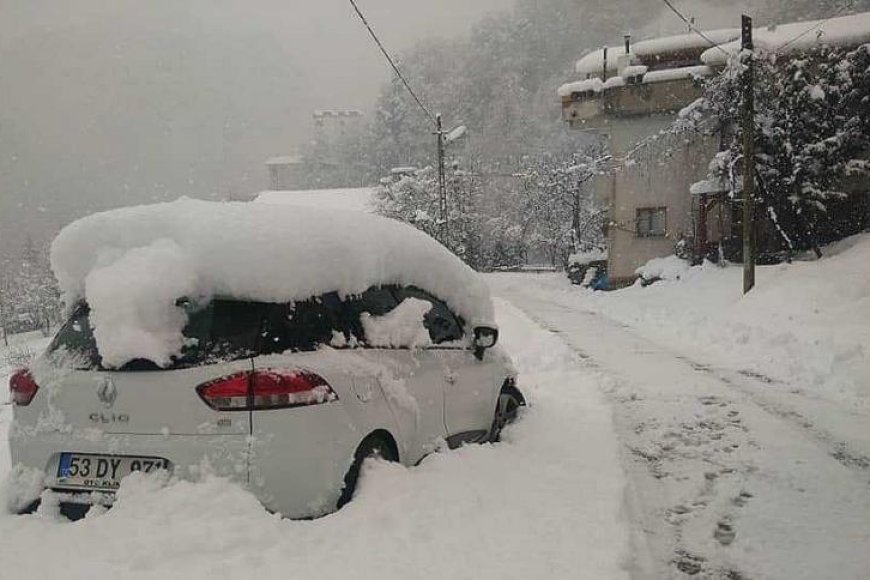 Doğu Karadeniz'de Beyaz Esaret Etkili Oldu