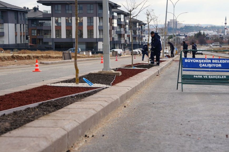 Büyükşehir’den Kuru Peyzaj Çalışması