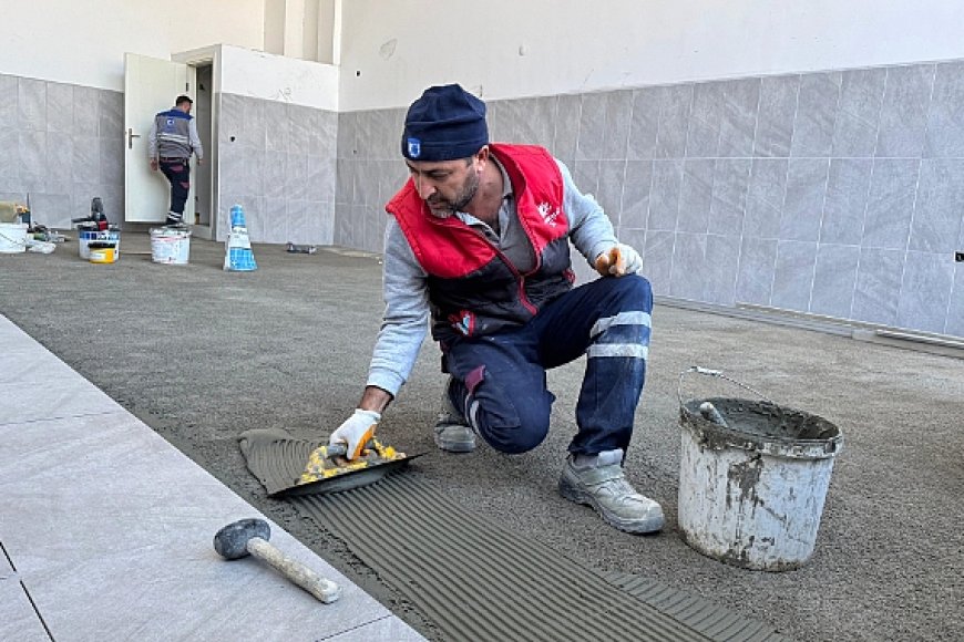 Çanakkale Belediyesi, Sokak Hayvanları İçin Mama Üretim Tesisi Kuruyor