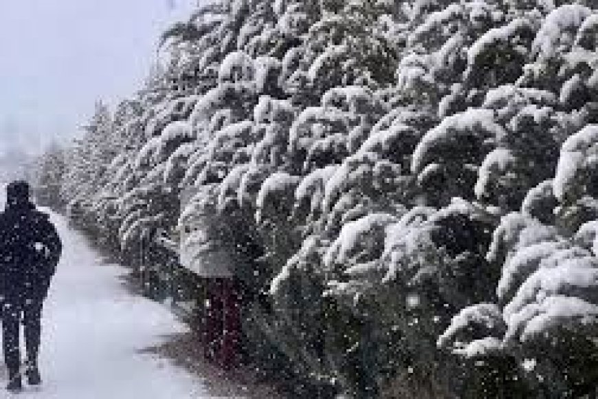 Meteoroloji’den 8 İle Sarı Kod Uyarısı! İstanbul’da Kuvvetli Yağış Bekleniyor