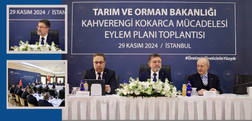 Kahverengi Kokarca Mücadelesi Eylem Planı Toplantısı İstanbul’da Gerçekleştirildi