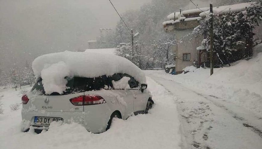 Doğu Karadeniz'de Beyaz Esaret Etkili Oldu