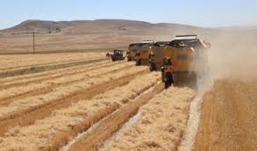 Tarım Destek Ödemeleri Çiftçilerin Hesaplarına Aktarıldı