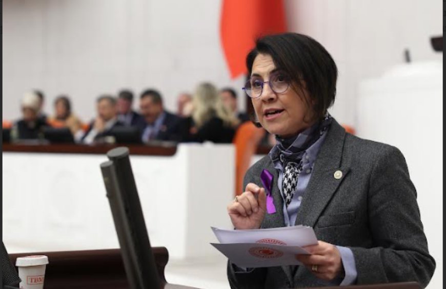 CHP Ankara Milletvekili Dr. Aylin Yaman: ‘Aile Bakanlığı Yetersiz Bütçesiyle Kırılgan Grupları Yalnız Bırakıyor’