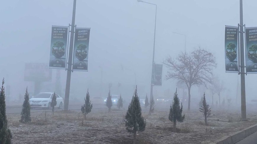 Diyarbakır'da Sis Ulaşımı ve Yaşamı Olumsuz Etkiledi