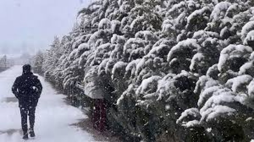 Meteoroloji’den 8 İle Sarı Kod Uyarısı! İstanbul’da Kuvvetli Yağış Bekleniyor