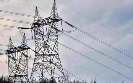 Elektrik Santrallerine 1,7 Milyar Liralık Destek: Kasım Ayı Ödemeleri Açıklandı