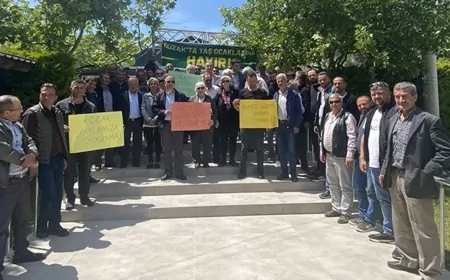 Kozak Yaylası Kurtarıldı: Çam Fıstığı Cenneti Mermer Ocağı Tehdidinden Korundu