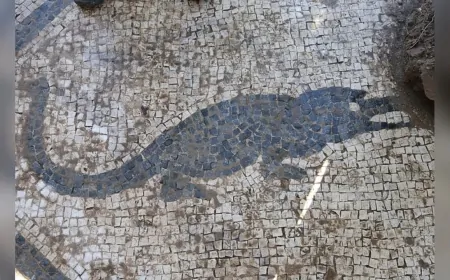 Muğla Herakleia Antik Kenti'nde Timsah ve Yılan Balığı Mozaikleri Ortaya Çıkarıldı