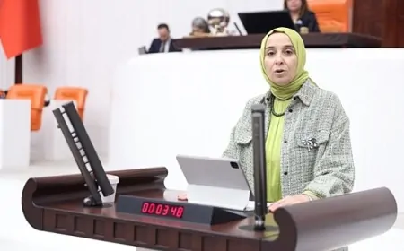 Elif Esen: 'Ücretli Rapor Düzenlemesi Sağlık Sistemini Tehdit Ediyor!'