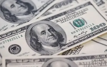 Yurt Dışında Yerleşiklerin Hisse Senedi ve DİBS Stoku Arttı, ÖST Geriledi