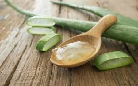 Aloe Vera: Faydaları, Kullanım Alanları ve Evde Yetiştirmenin Püf Noktaları