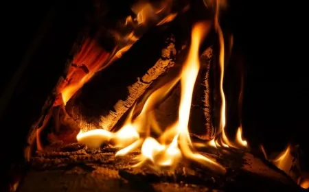 ABD’yi Kasıp Kavuran Orman Yangınlarında Bilançolar Ağırlaşıyor