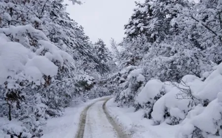 Son Dakika: AKOM ve Meteoroloji’den Kritik Uyarılar! Balkanlardan Kar Geliyor