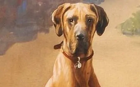 Patlayıcıyı İdrarıyla Etkisiz Hale Getirdi! 2 Kez Hayat Kurtaran Kahraman Köpek