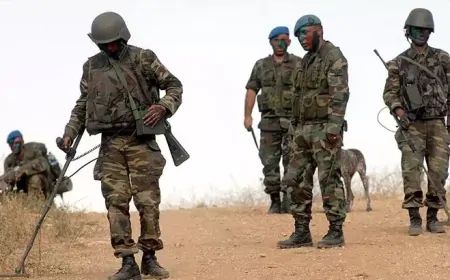 Sicil Nedeniyle Resen Emekli Edilen Astsubayın Kamu Kurumlarına Atanması Mümkün mü?