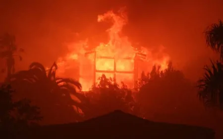 Los Angeles’taki Yangın Felaketi: Evlerini Terk Eden Amerikalılar Yağmacıların Hedefi Oldu