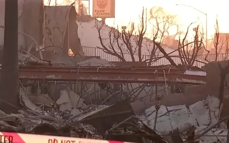 Altadena ve Malibu Yangınında İnsan Kalıntıları Bulundu, Kayıp Sayısı Artıyor