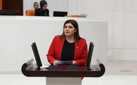 Selcan Taşcı: 'Millet İradesini Tahakküm Altına Almak Kabul Edilemez'