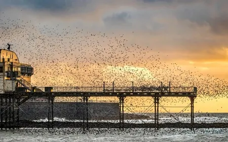 Britanya’nın Kışın Keşfedilebilecek En Muhteşem Doğal Harikaları!