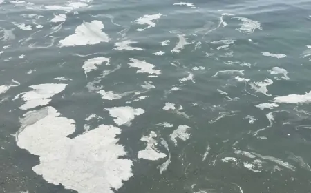 Marmara Denizi’nde Müsilaj Kabusu Yeniden Başladı! Beyaz Tabaka Görenleri Endişelendiriyor